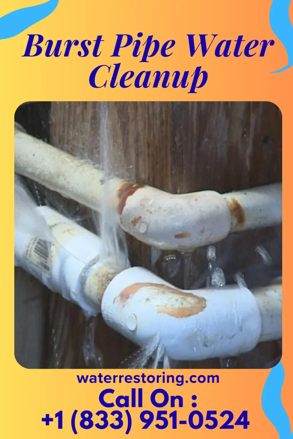 Burst Pipe Water Cleanup in Washington, IL