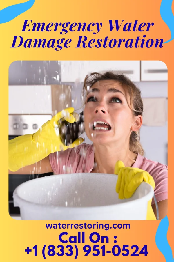 Emergency Water Damage Restoration in Washington, IL