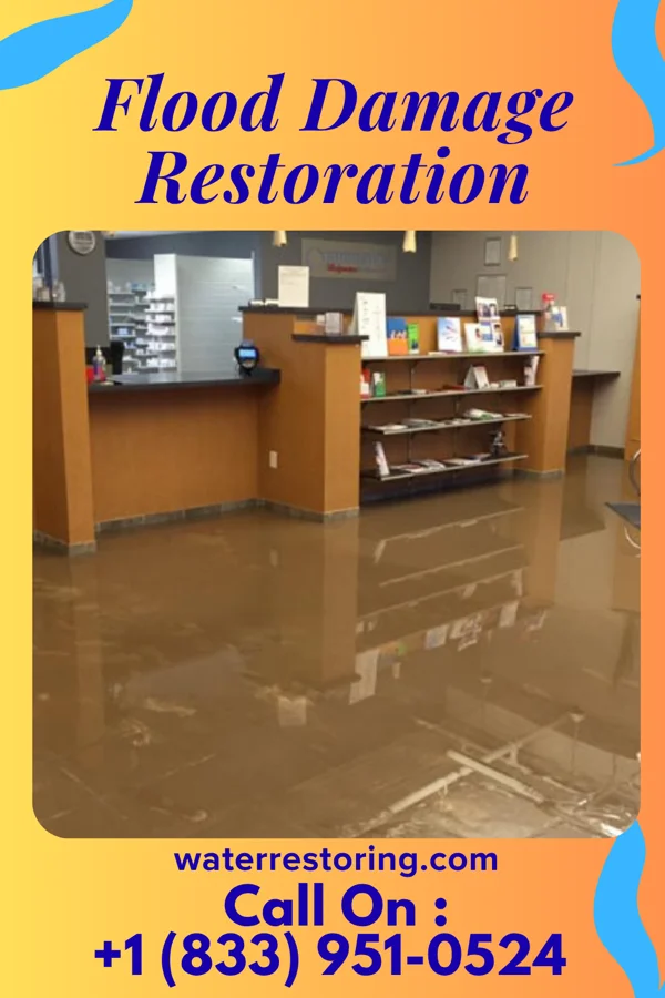 Flood Damage Restoration in Washington, IL
