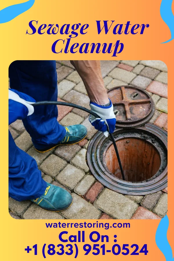 Sewage Water Cleanup in Washington, IL