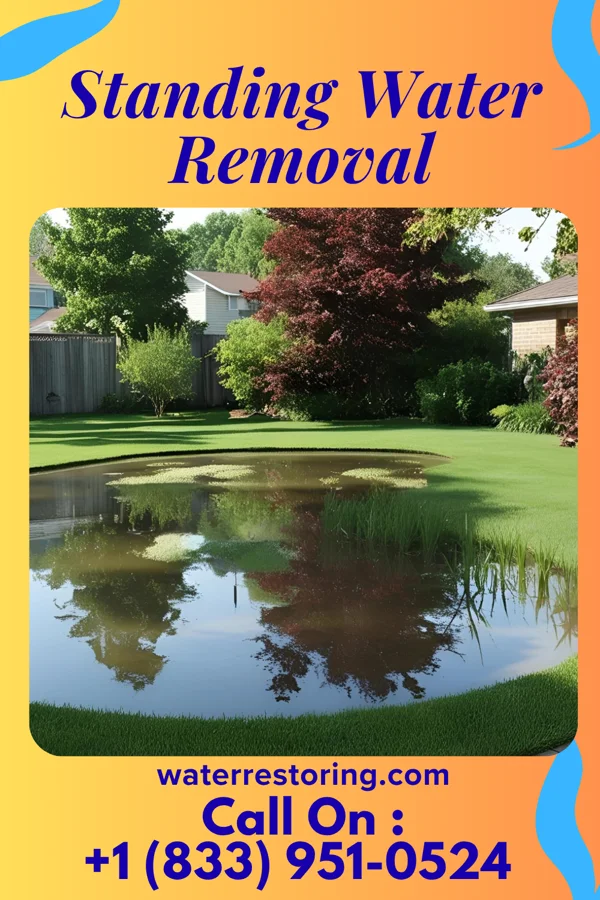 Standing Water Removal in Washington, IL